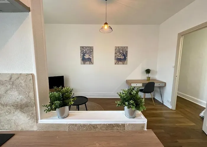 公寓 A1g Thermal Artem 南锡